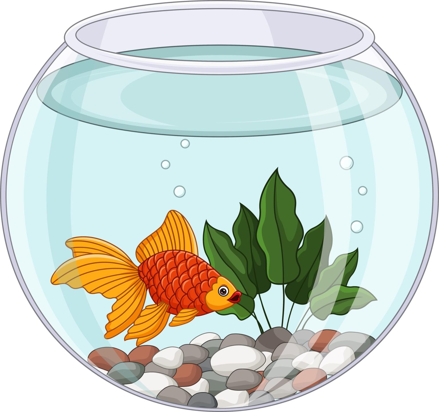 Preventing Fish from Dying in Aquarium and Keeping Fish Alive in a Bowl