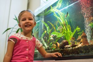 Read more about the article Fish That Don’t Die Easily: The Best Pet Fish for Kids